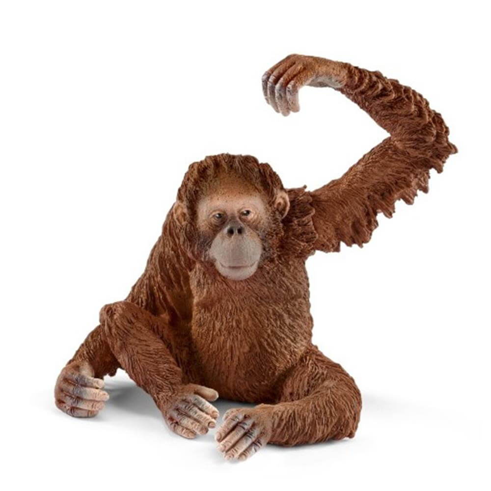 Schliech Orangutan Female
